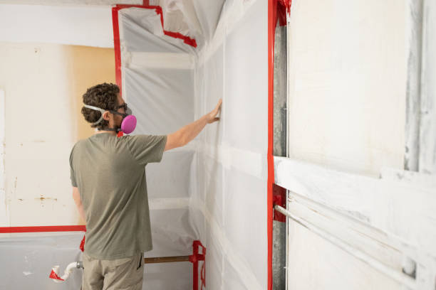 Best Mold Removal for HVAC Installations  in Forty Fort, PA